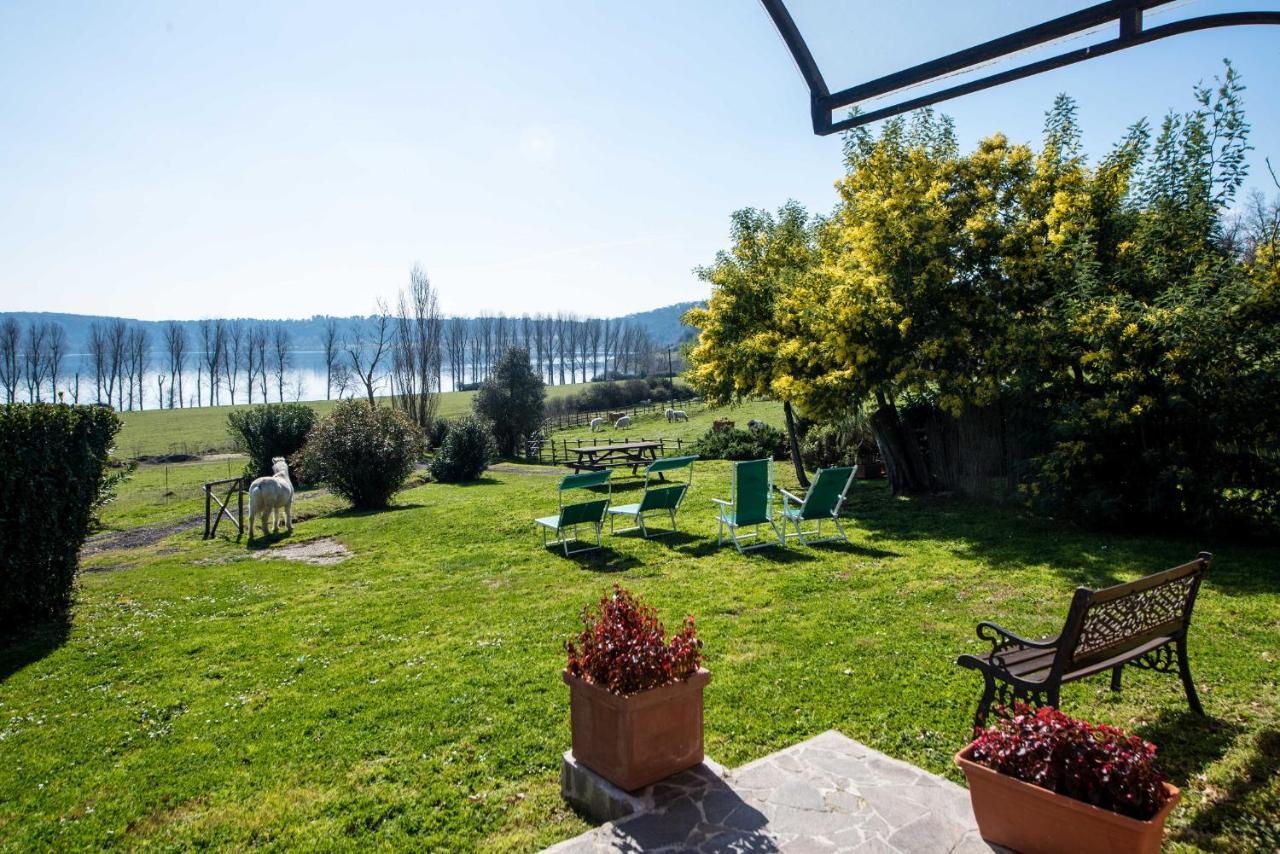 Villa Il Castoro Di Martignano Anguillara Sabazia Exterior foto