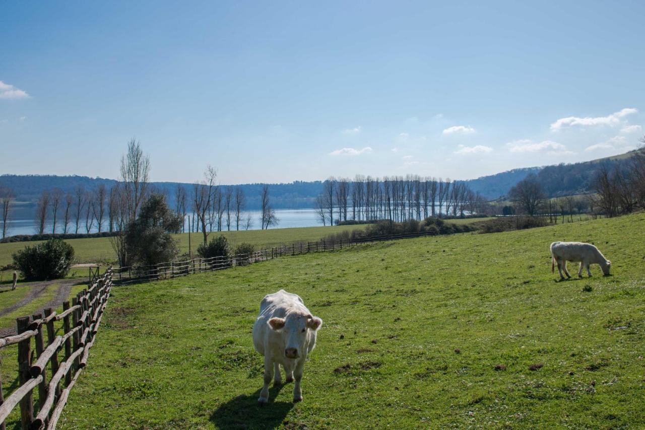 Villa Il Castoro Di Martignano Anguillara Sabazia Exterior foto