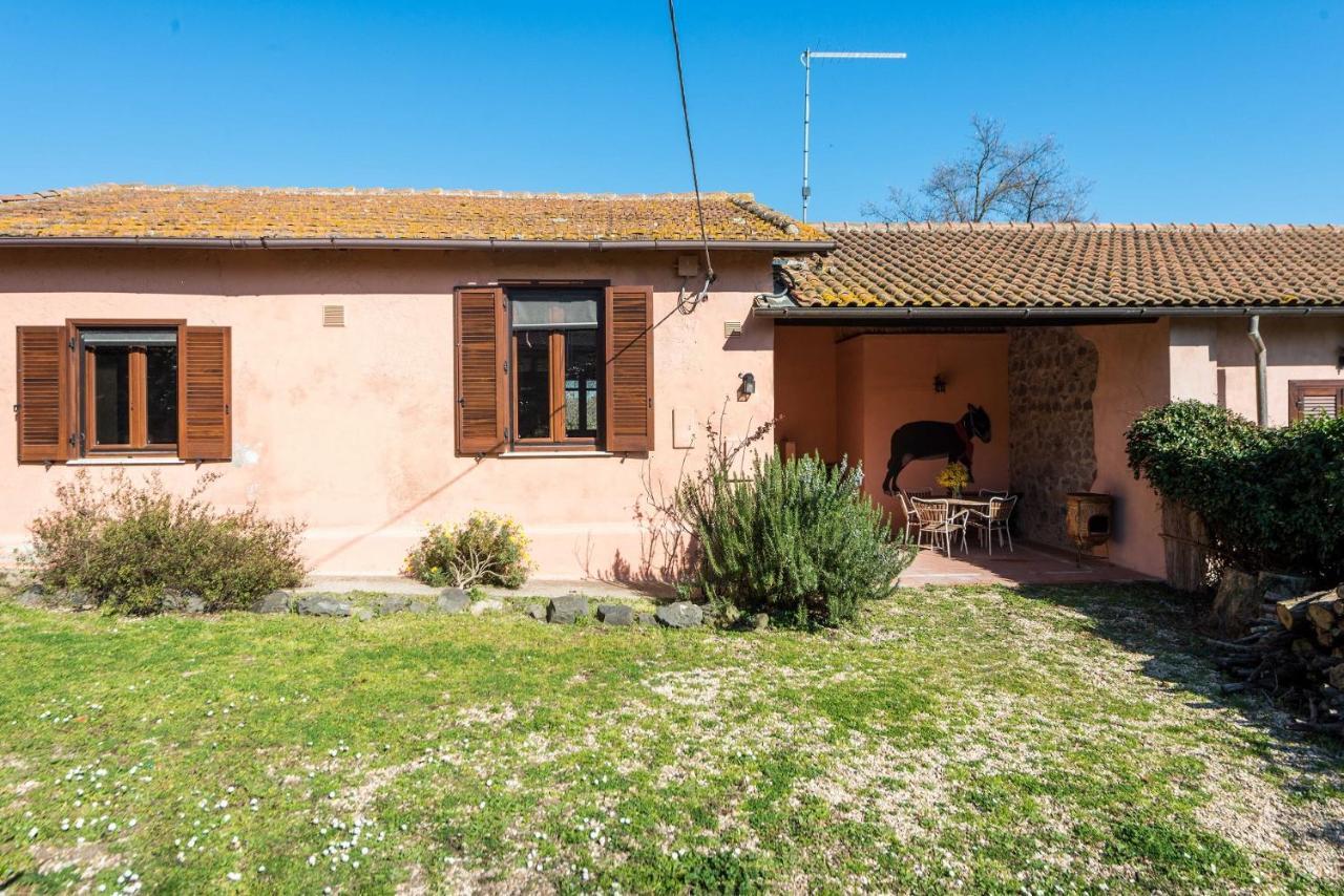 Villa Il Castoro Di Martignano Anguillara Sabazia Exterior foto